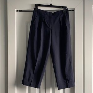 Babaton Ankle Wide Pants